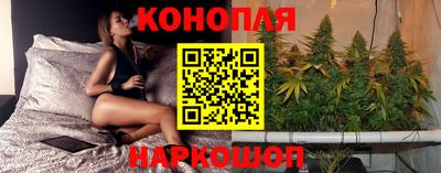 прущие грибы Новокубанск
